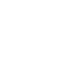 lucide_brain